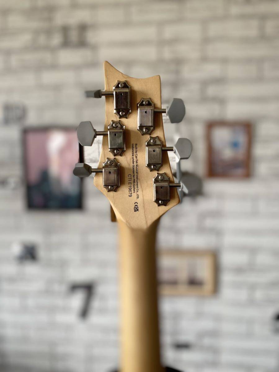 PRS SE Silver Sky グリーン_画像7