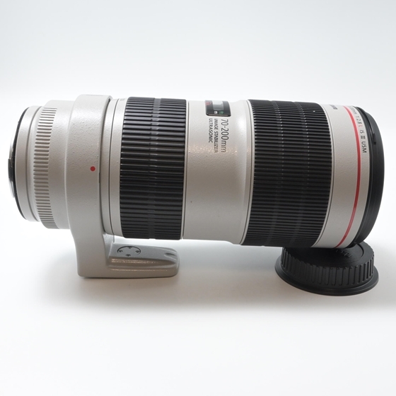 キヤノン Canon EF70-200mm F2.8L IS III USM_画像6
