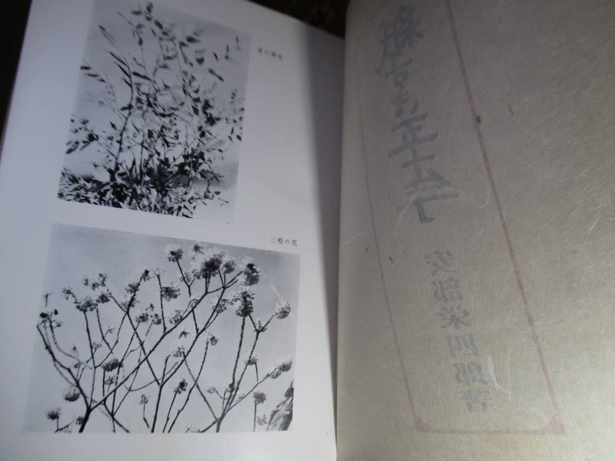 高い信頼 厚い信頼 ☆墨筆署名『紙すき五十年』阿部栄太郎:東峰出版;昭和38年; その他