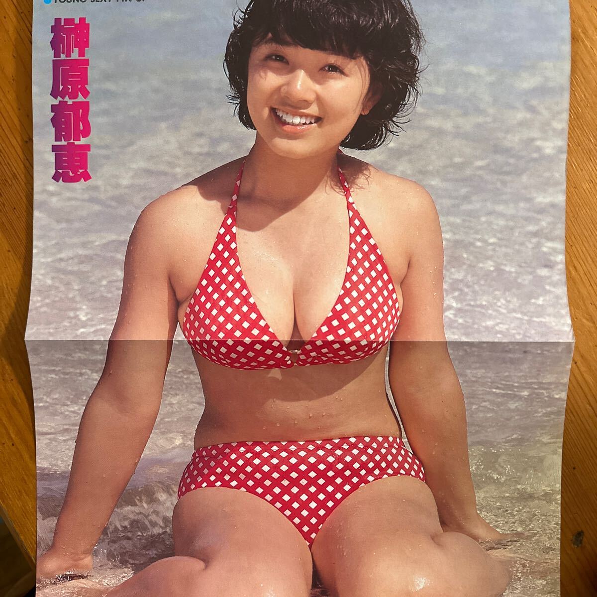 4199 scraps ....* bikini pin nap roller bo-* bikini 78 year day . calendar Omori . beautiful . Play Boy 1977