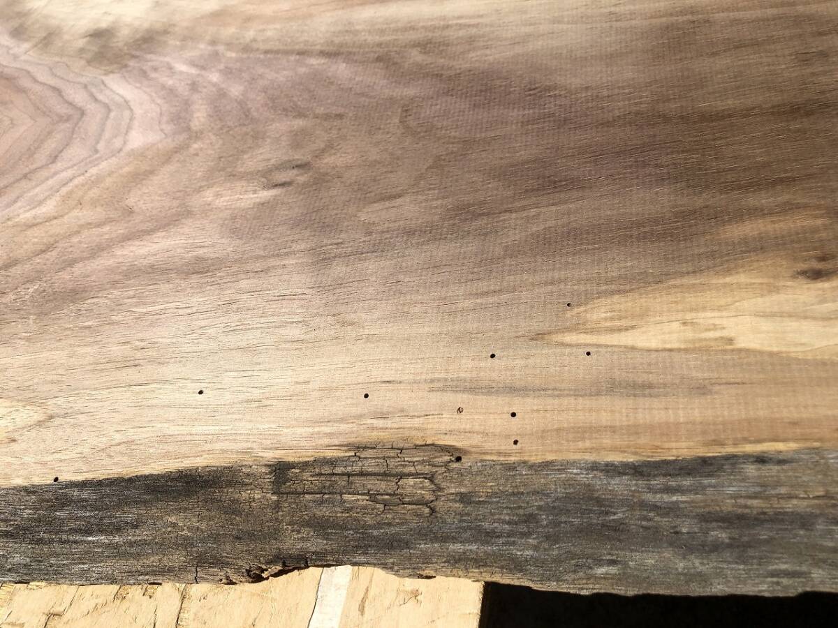 送料無料！【S711G】ウォルナット 857～865×～410×19㎜ 板材 乾燥材 木工 DIY 材木 天然木 無垢材《銘木すずめや》の画像4