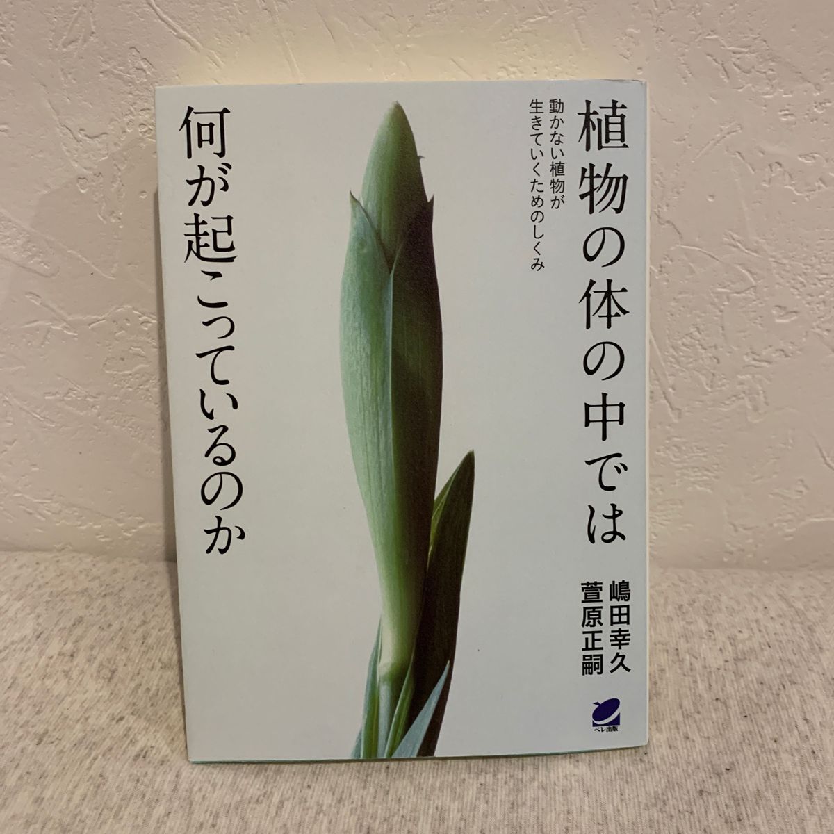 植物の体の中では何が起こっているのか　動かない植物が生きていくためのしくみ  嶋田幸久／著　萱原正嗣／著