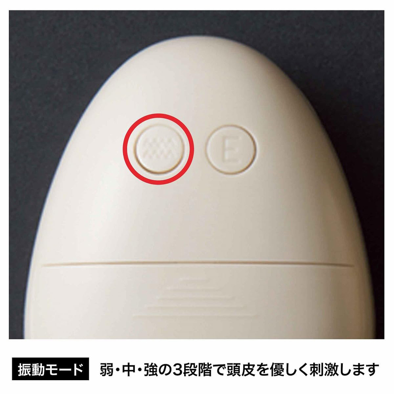 雑誌付録「otona MUSE 5月号 AKNIR EMS・LED・振動機能付き電気スカルプブラシ」新品未使用の画像7