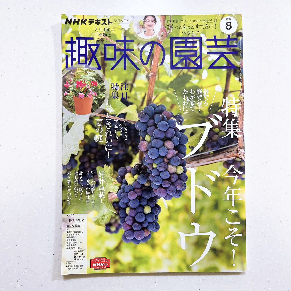 NHK 趣味の園芸 2022年8月号 夏だ!まるごと楽しむブドウ_画像1