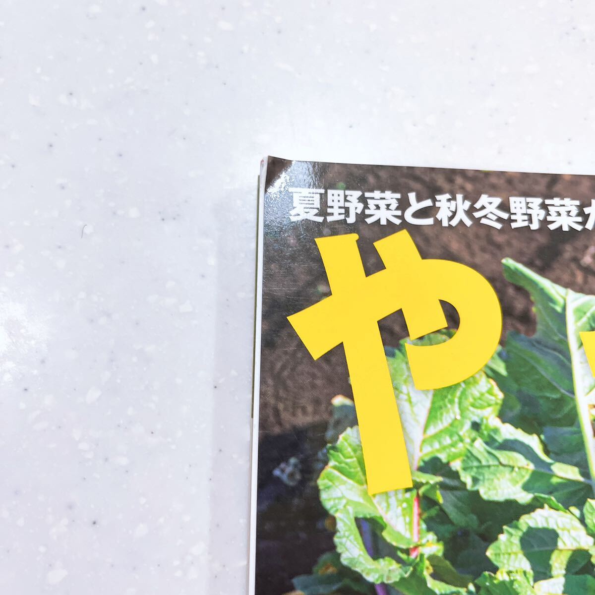 やさい畑 夏号 2022年8月号 夏野菜を長く、秋冬野菜を早く 連続混植の極意_画像2