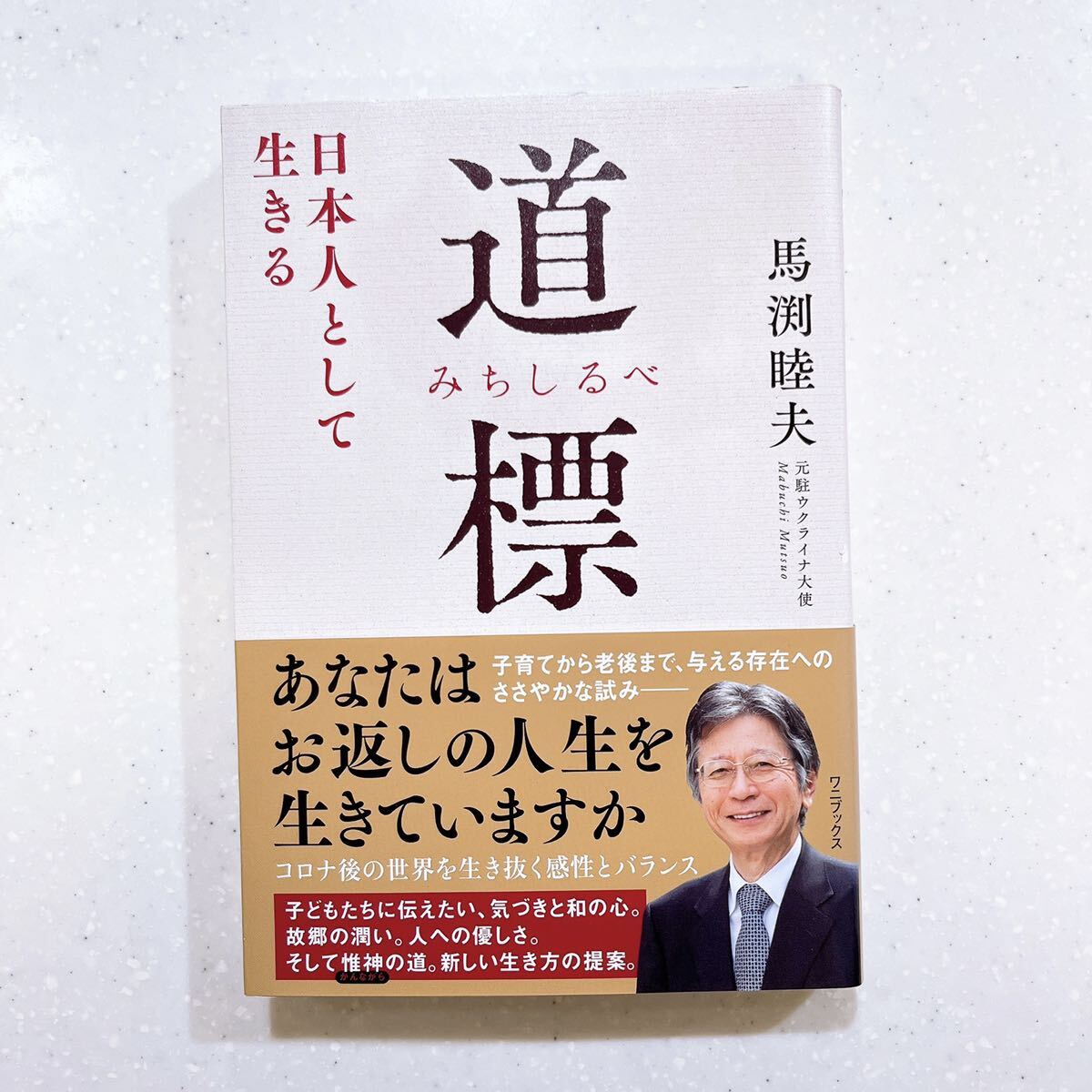 道標 日本人として生きる 馬渕睦夫／著【22】_画像1