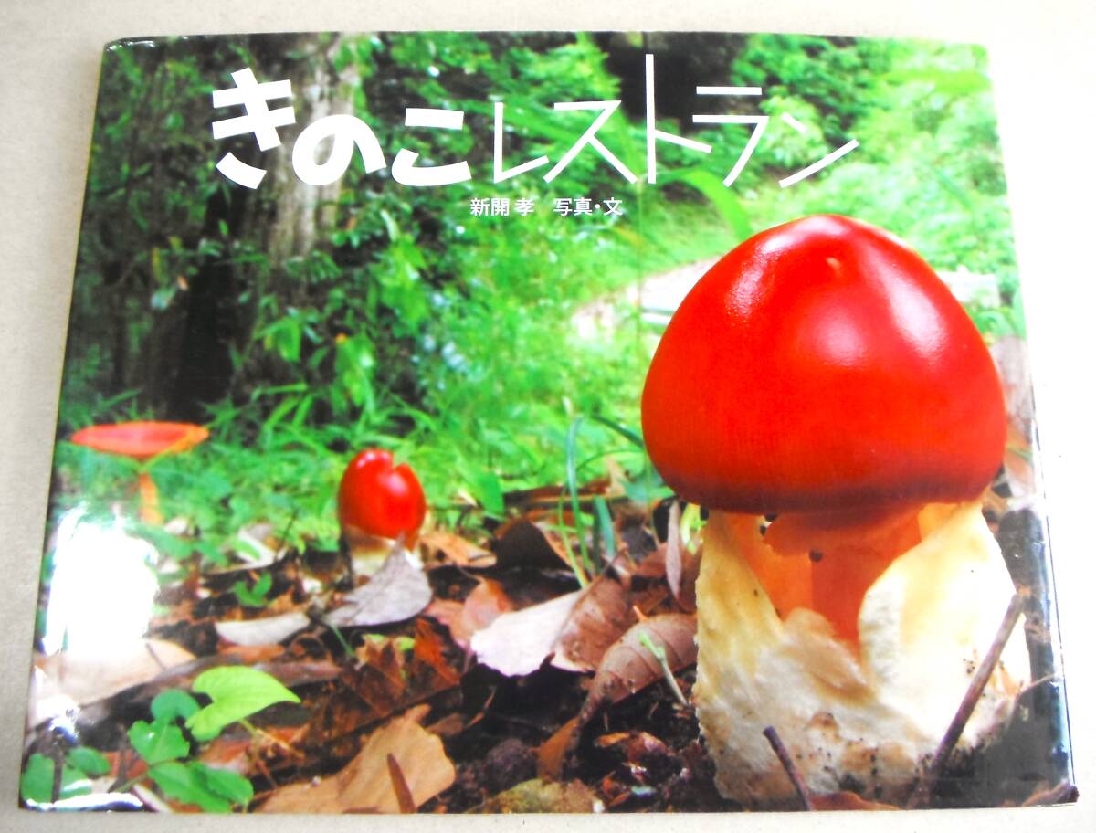  mushrooms msi, litter msidamasi other [.. . restaurant ... fully photograph picture book ] new ../ photograph * writing 