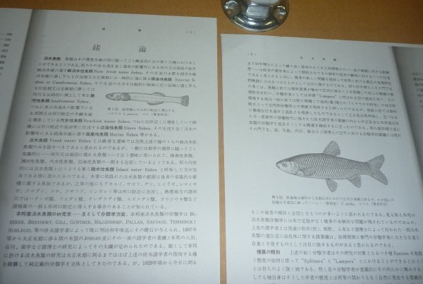 淡水魚1957『日本列島産淡水魚類総説』 青柳兵司 著の画像10
