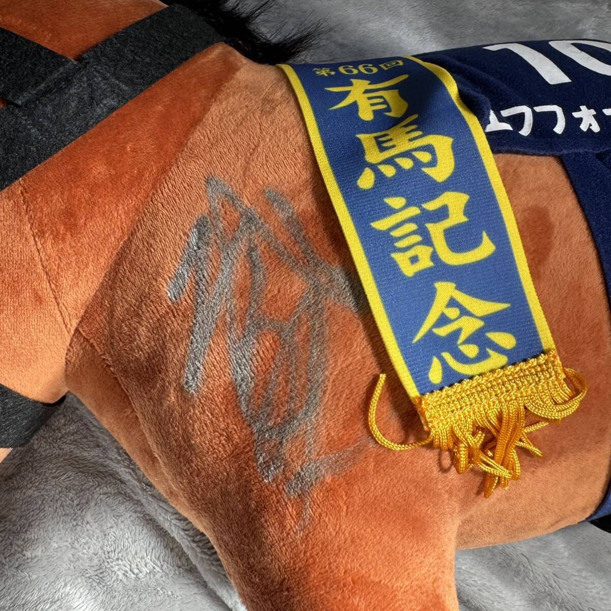 「競馬 エフフォーリア 横山武史 直筆サイン入り ぬいぐるみ 証拠有」武豊 藤田菜七子 ルメール ゼッケン 今村聖奈 馬券 川田将雅 ソダシの画像3