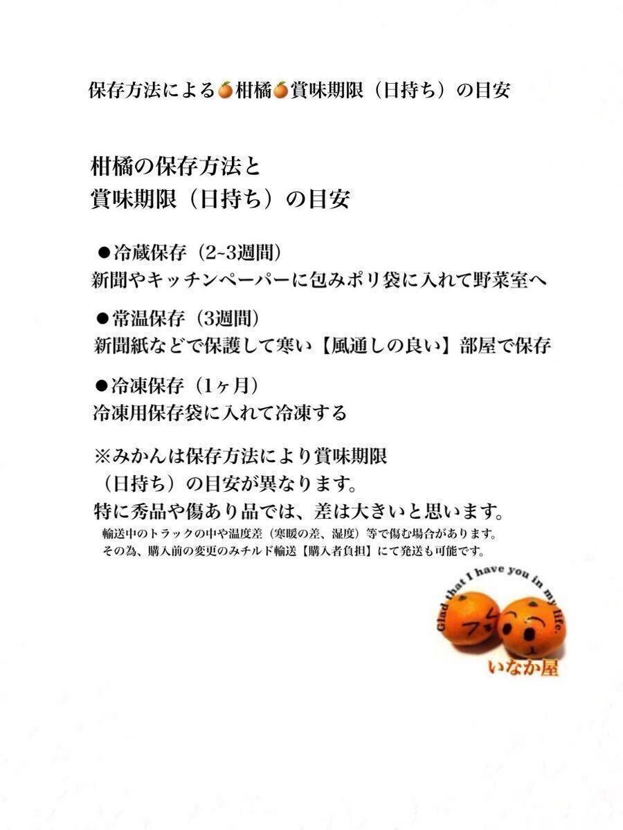 和歌山県産 八朔 はっさく 柑橘 フルーツ みかん 家庭用 早い者勝ち 残り少し の画像7