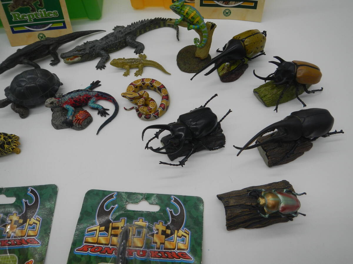 カロラータ / COLORATA 立体図鑑 爬虫類 昆虫 BOX付 B-195の画像4