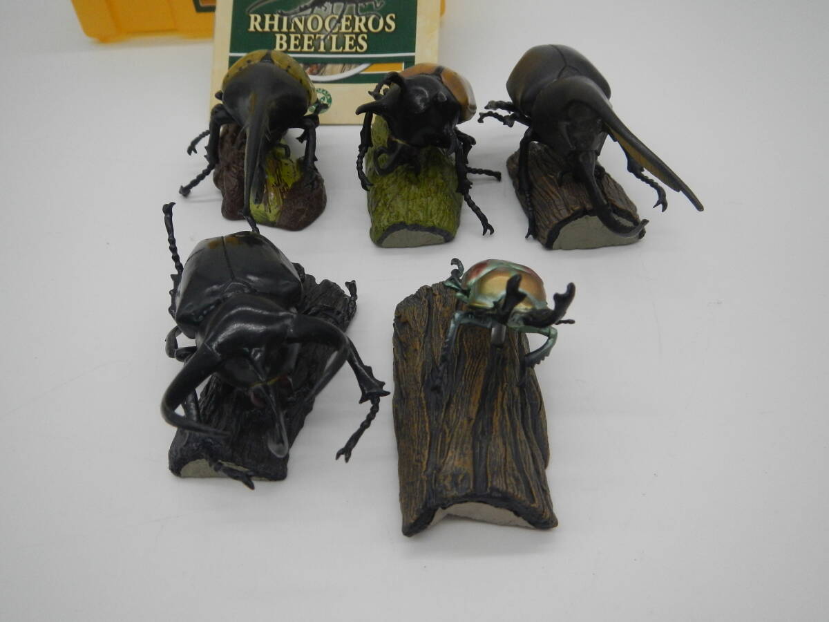 カロラータ / COLORATA 立体図鑑 爬虫類 昆虫 BOX付 B-195の画像8