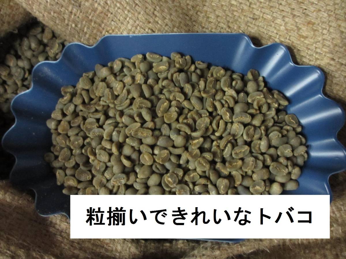 コーヒー生豆　マンデリンＧ１　１ｋｇ　ハローコーヒー ＃410_スペシャリティ　トバコ