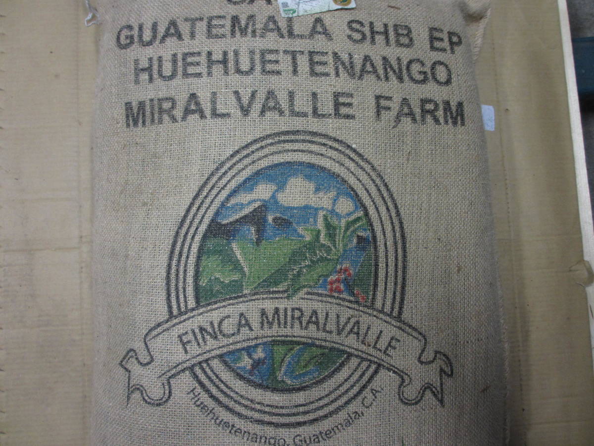 コーヒー生豆　スペシャルグレード　５ｋｇより　ハローコーヒー＃520_グァテマラ　ミラバリャ新穀入荷