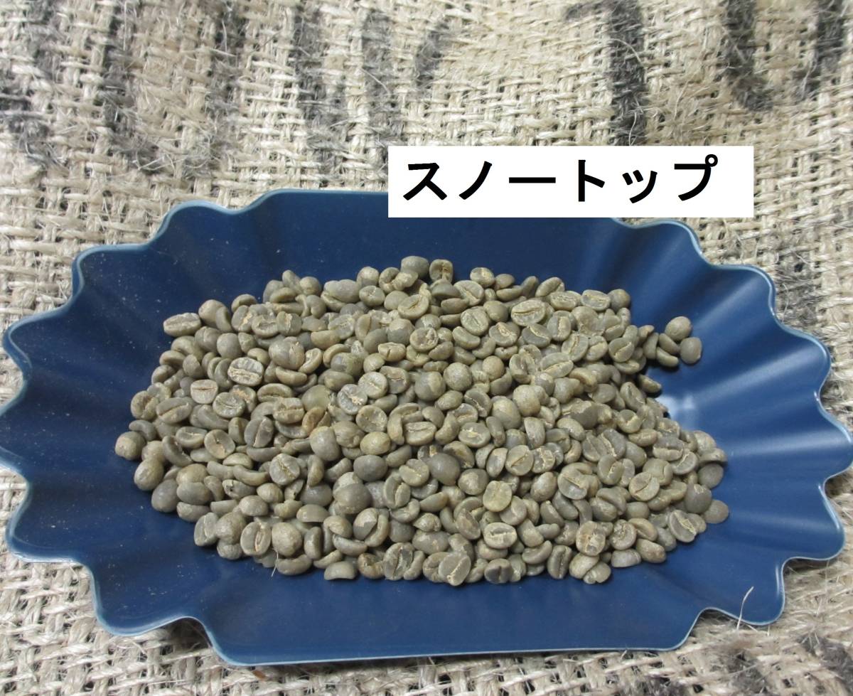 生豆 選べるキリマンジャロAA 2022-23 １ｋｇ ハローコーヒー#420の画像7