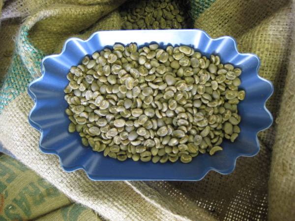  raw legume special grade is possible to choose 10kg Hello coffee #522