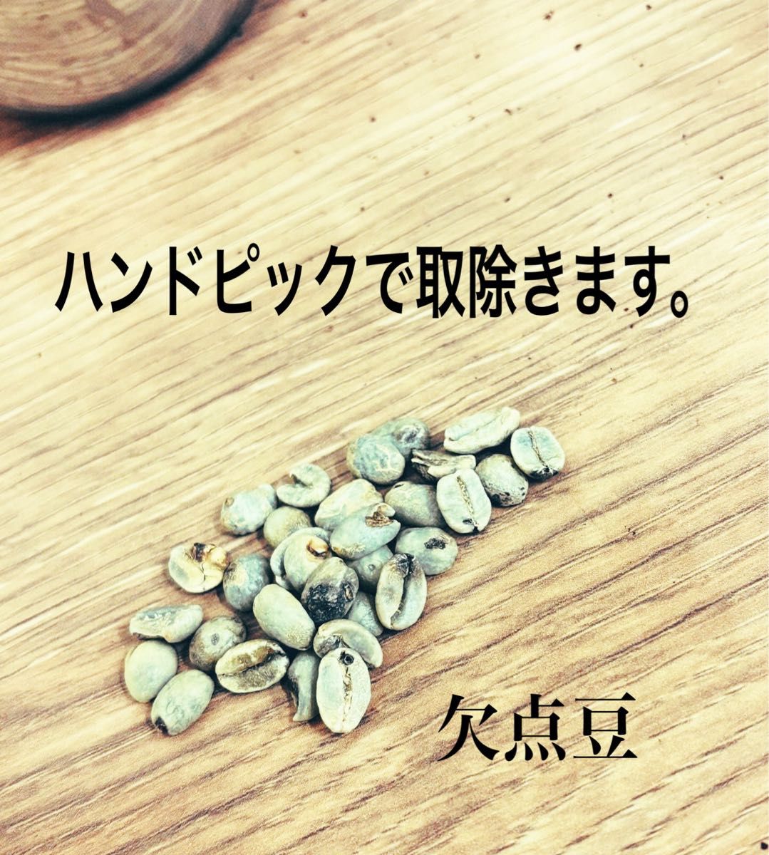 ブラジル　スペシャリティグレード　飲み比べ　ハニーショコラ100g、セラード手摘み完熟豆100g、自家焙煎　コーヒー豆