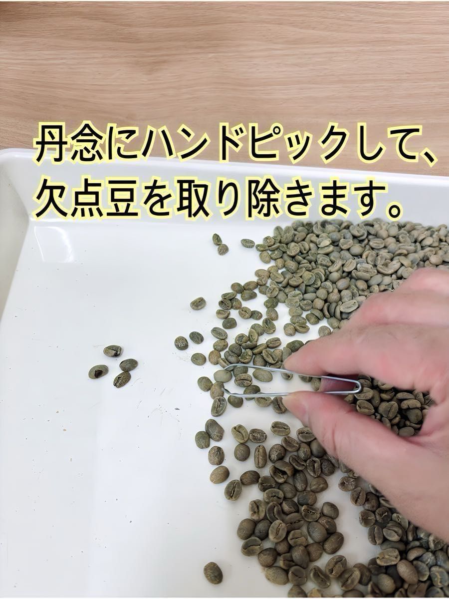 フルーティー　エチオピア ゲイシャ ナチュラル 200g コーヒー豆 自家焙煎