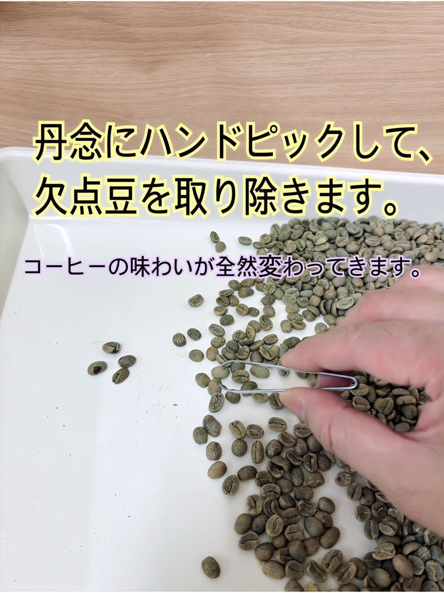 香ばしくチョコナッツ風味 グアテマラＳＨＢ　200g 自家焙煎 コーヒー豆