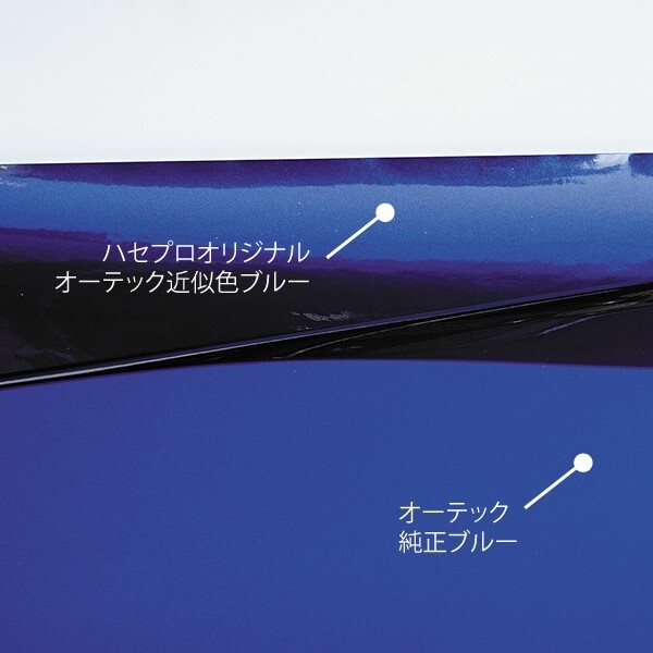 ハセプロ マジカルアート 近似色 リアルカラー リア用 エンブレム 日産 ノート e-POWER E12系 (H28/11～) REN-5N_画像5