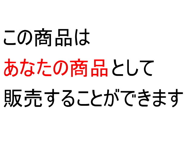 【再販権付】AIを収益化したいあなたのための生成AI活用術「ChatGPT?」「画像生成AI?」「AIって稼げるの？」あなたの疑問を解決＆稼げます _画像3