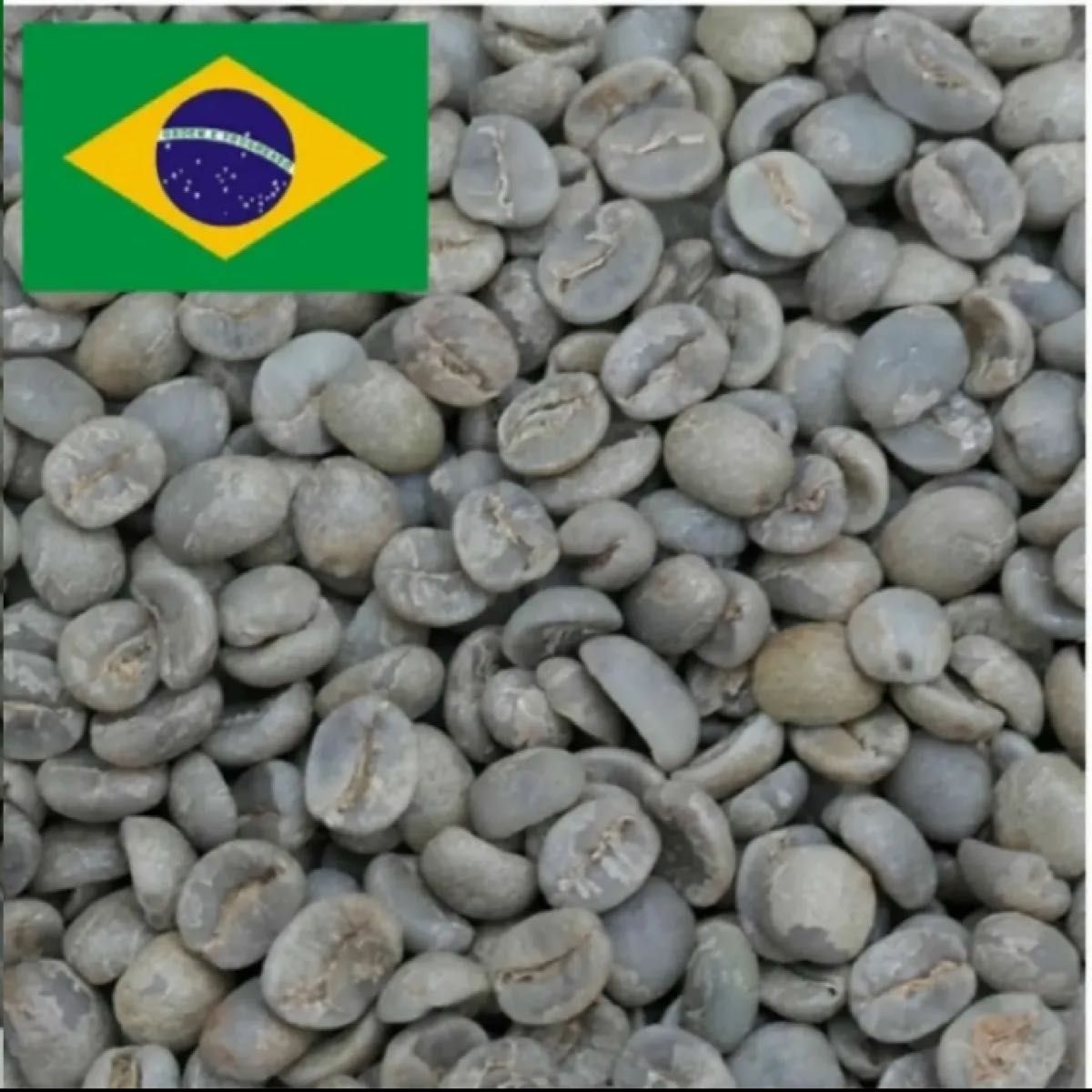 ブラジル ブルボン（BRAZIL BOURBON)　Qグレード　1キロ　 コーヒー生豆 珈琲生豆　ニューグロブ
