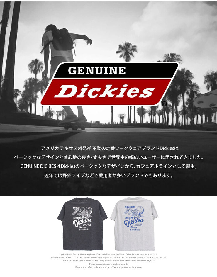 【新品】 2L ライトグレー [GENUINE Dickies] 半袖 Tシャツ メンズ 大きいサイズ スラブ ロゴ バック プリント クルーネック カットソー_画像6