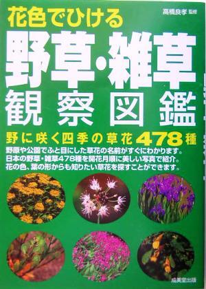 花色でひける野草・雑草観察図鑑 野に咲く四季の草花４７８種／高橋良孝_画像1