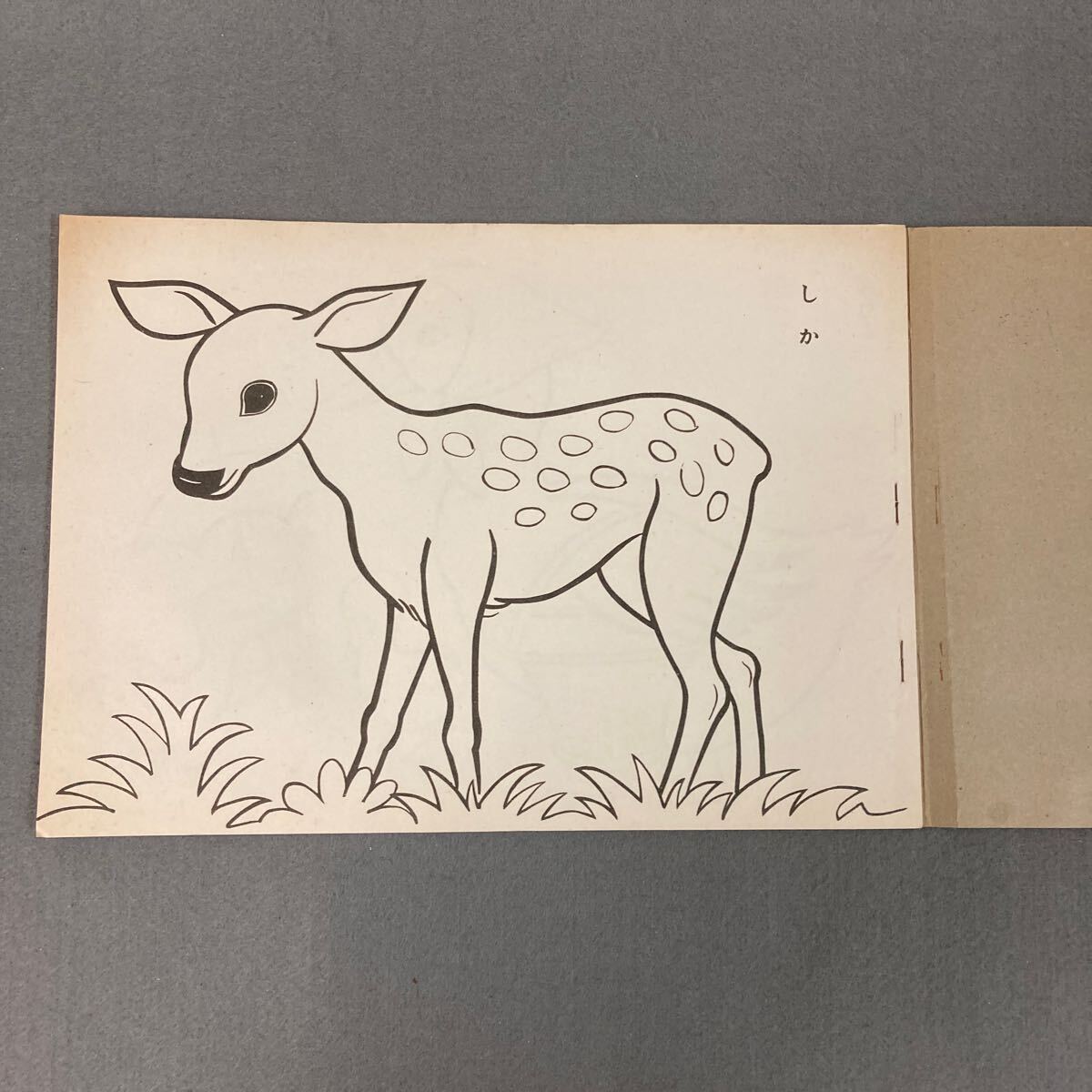 昭和レトロ かわいい ぬりえ きくや書店 1960年代 当時物 未使用品 動物ぬりえ_画像3