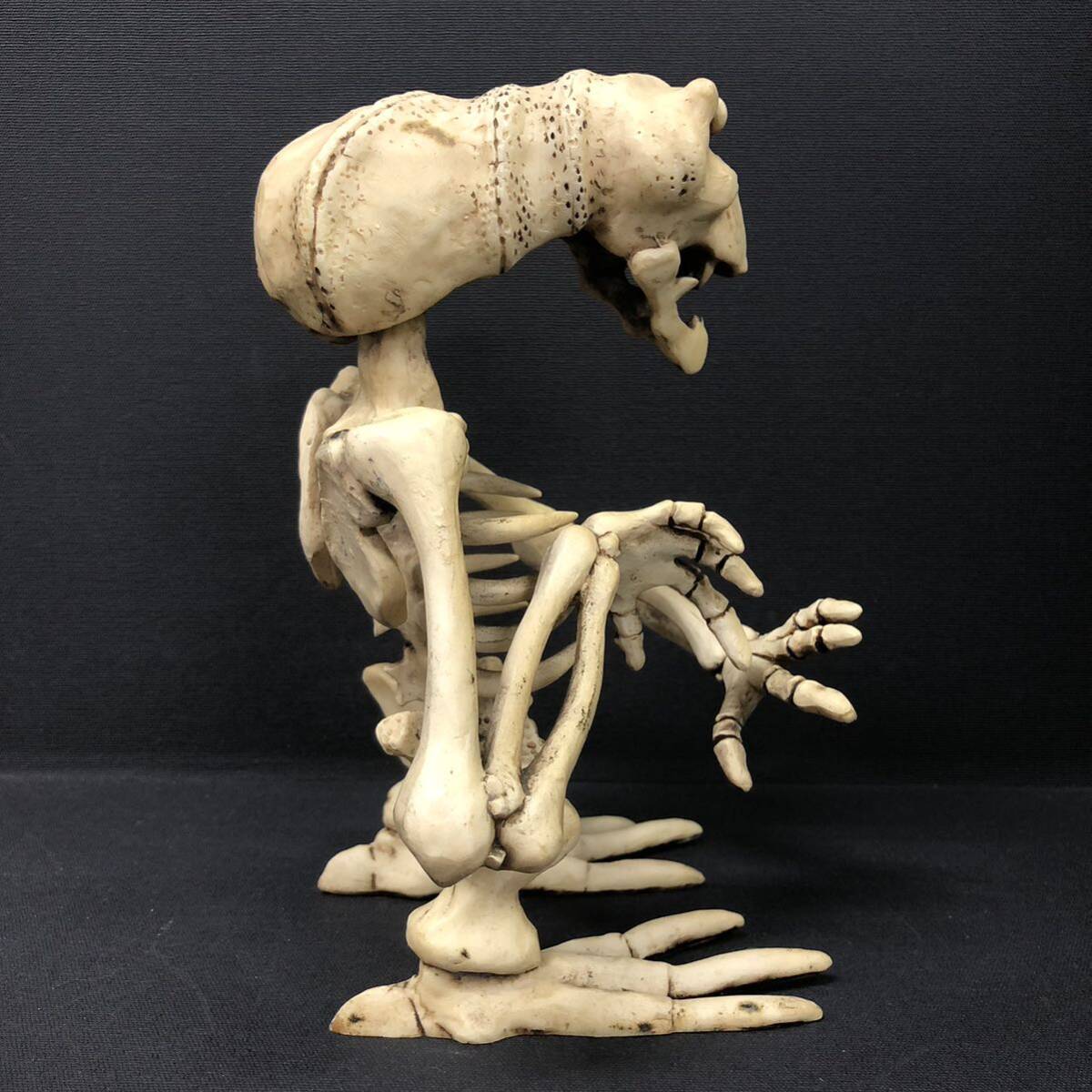 T■ オブジェ Alien Skeleton エーリアン スケルトン 骸骨 スカル 宇宙人 フィギュア 地球外生命体 H20cm パンク ロック ゴシック オカルト_画像6