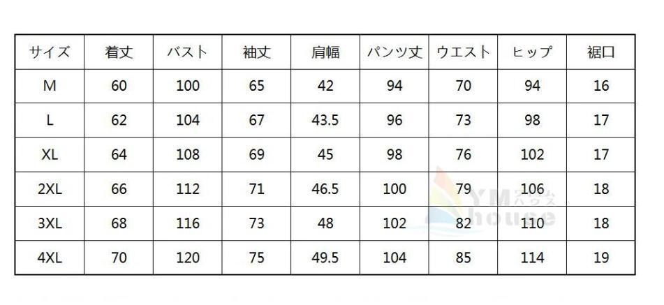 【未使用品】メンズ ジャージ セットアップ ネイビーブルー 上下セット 長袖 スポーツウェア トレーニングウェア ジャージパーカー Lサイズ_画像6