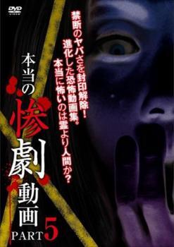 本当の惨劇動画 5 レンタル落ち 中古 DVD_画像1