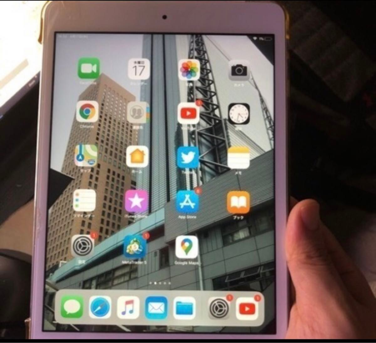 iPad mini2