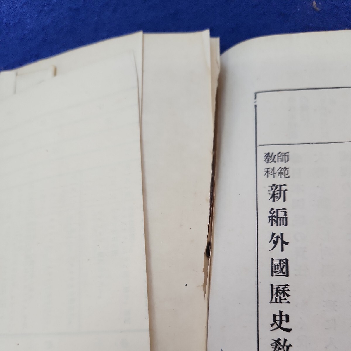 C09-137 教師科範 新編外國史教科書 西洋之部 磯田良箸 三省堂 折れ、破れ、書き込みや線引き多数、塗りつぶしあり_画像8