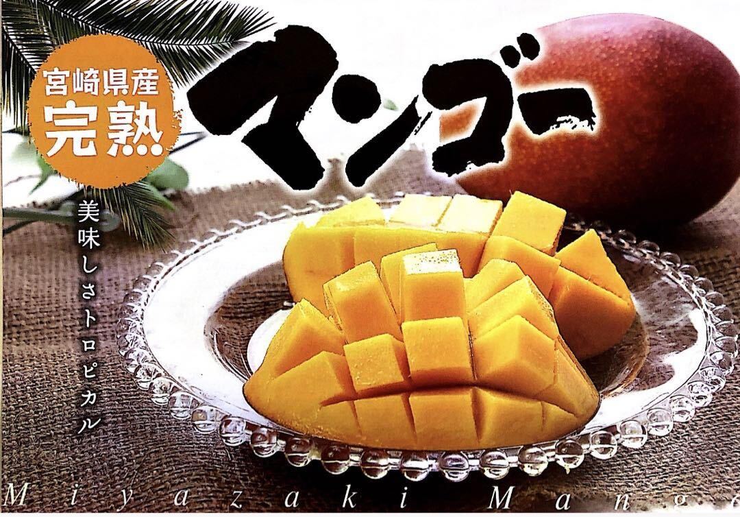 宮崎県産 完熟マンゴー 3.5kgの画像4
