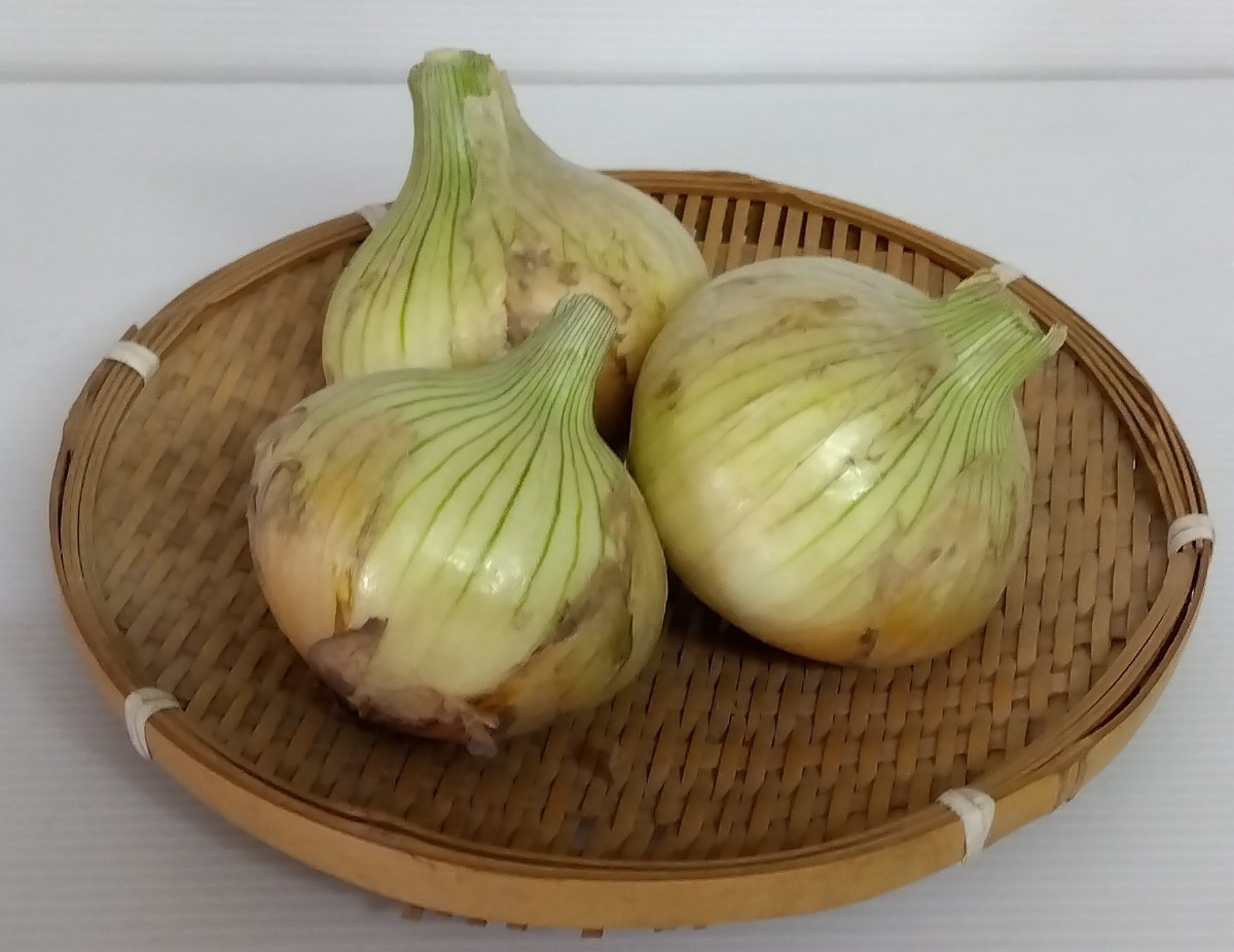  south ... production, new sphere leek, approximately 5 kilo, enough, size Mix,......... strong, health therefore, doll hinaningyo *. earth production also recommended.!!..