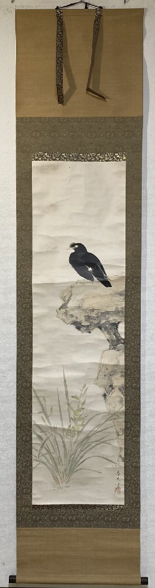 C0292 永田春水【花鳥図　共箱？　茨城　鎌倉　日本画　荒木寛畝門】_画像1