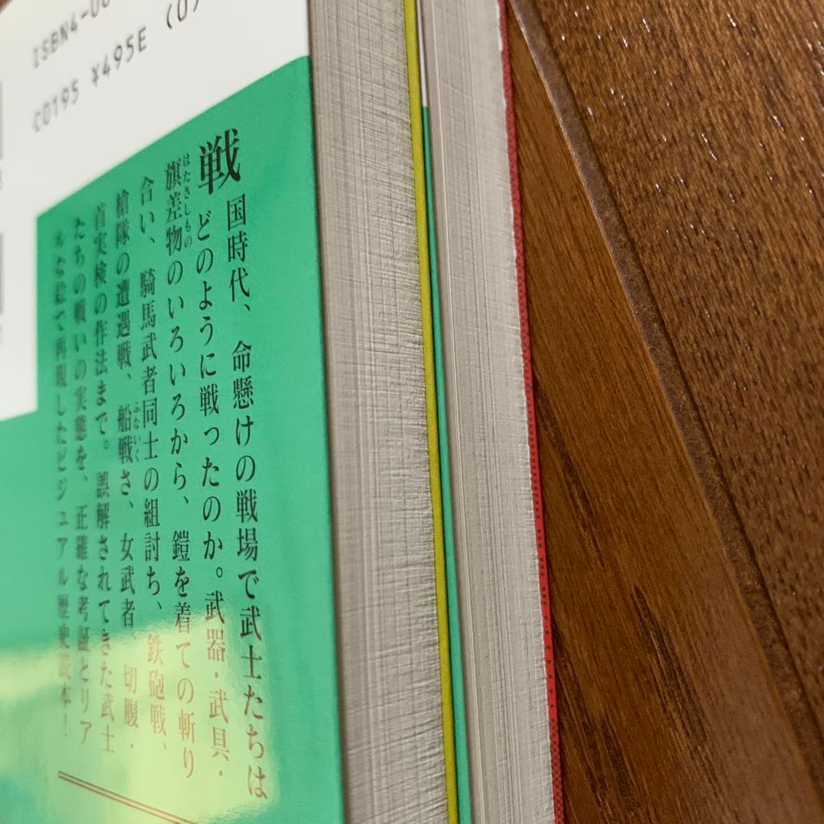 〈絵解き〉戦国武士の合戦心得　雑兵足軽たちの戦い　歴史・時代小説ファン必携 （講談社文庫） 東郷隆／〔著〕　上田信／絵　2冊セット