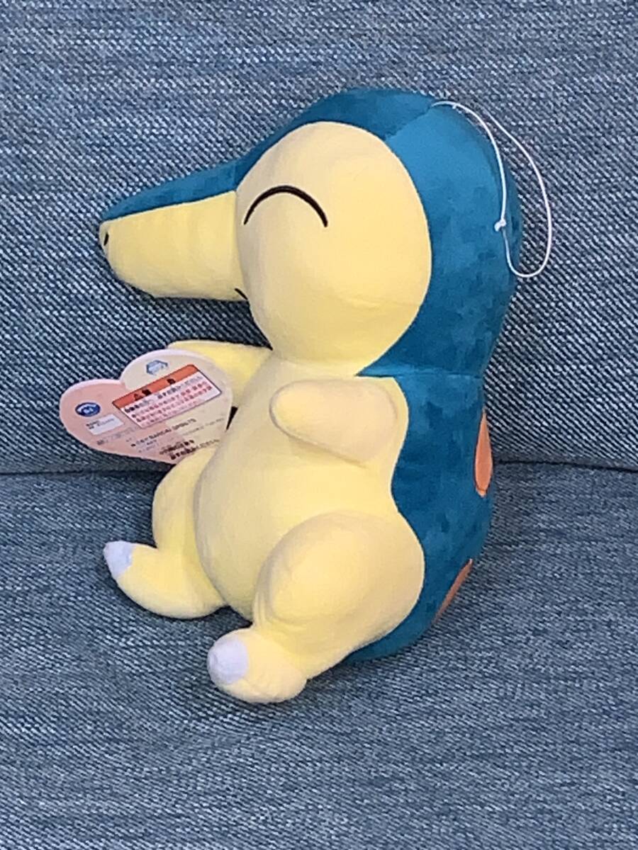 □■ ポケットモンスター　ほぺぴた でっかいぬいぐるみ　〜ヒノアラシ〜 ■□ 新品　未使用　★喫煙者ペットはいません ポケモン_画像4