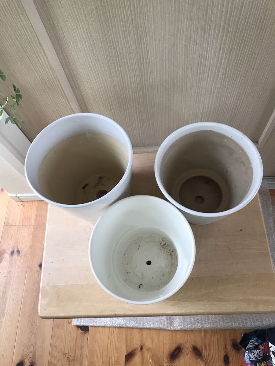 [ middle pot ] plant pot white pot ceramics pot Shigaraki together 3 point 0423-e nationwide free shipping!