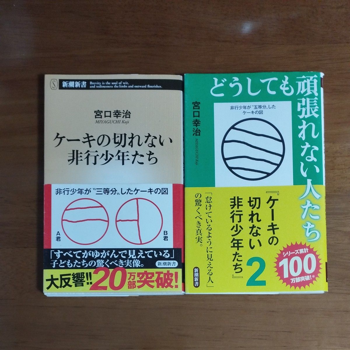 ケーキの切れない非行少年たち　どうしても頑張れない人たち　セット　まとめ売り  宮口幸治／著