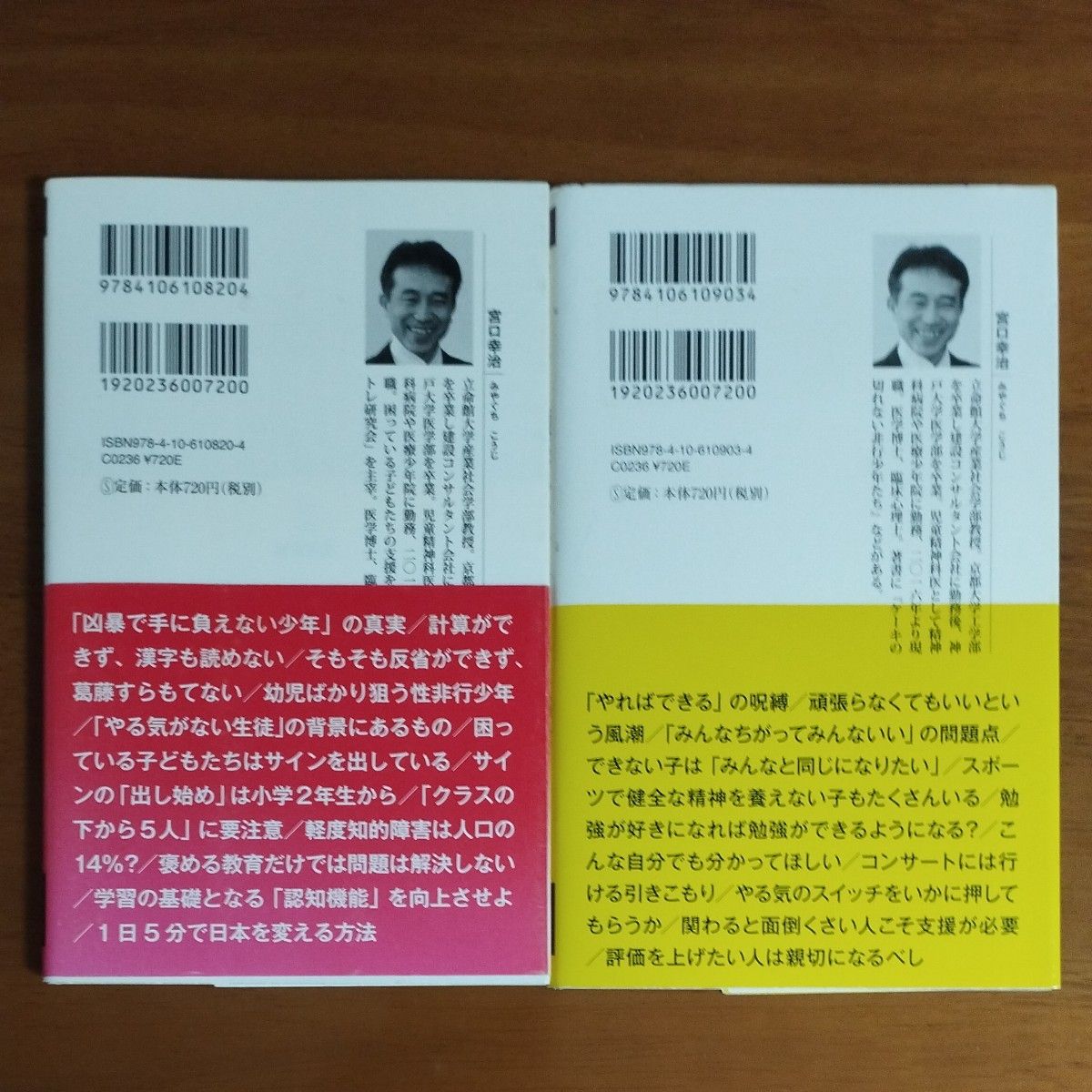 ケーキの切れない非行少年たち　どうしても頑張れない人たち　セット　まとめ売り  宮口幸治／著