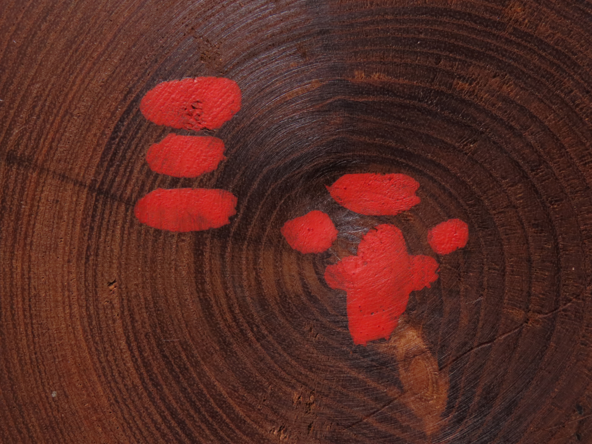 【ONE'S】人気こけし作家 山中三平 作 大型作品 創作こけし 高24cm 重量1.3kg 小芥子 コケシ 伝統こけし 日本人形 郷土玩具 伝統工芸の画像9
