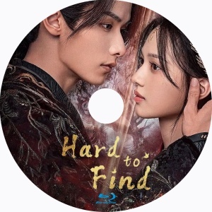 Hard to Find(自動翻訳)『いちご』中国ドラマ『トラジ』Blu-ray「Hot」★5/12以降発送の画像2