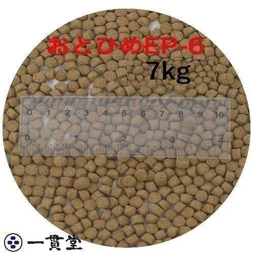 おとひめEP6(約5.4mm～約6.4mm) 7kg(500g×14袋) 沈降性(沈下性) 日清丸紅飼料 金魚 アロワナ 肉食魚に 倉出し　 10002363_画像1