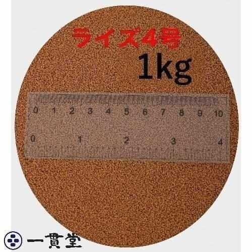 laiz4 number 1kg (500g×2 sack ) ( bead diameter 0.58~0.84mm) day Kiyoshi circle .. charge small amount . goods me Dakar medaka feed bait free shipping 