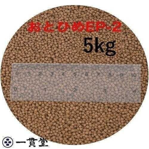 おとひめEP2(約1.9～約2.0mm) 5kg(500g×10袋) 沈降性(沈下性) 日清丸紅飼料 金魚 アロワナ 肉食魚に 倉出し  10002350の画像1