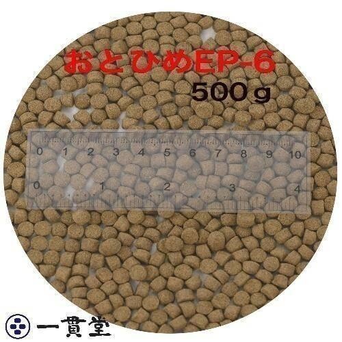 o...EP6( approximately 5.4mm~ approximately 6.4mm) 500g...(. under .) day Kiyoshi circle .. charge goldfish osteoglossids meat meal fish .