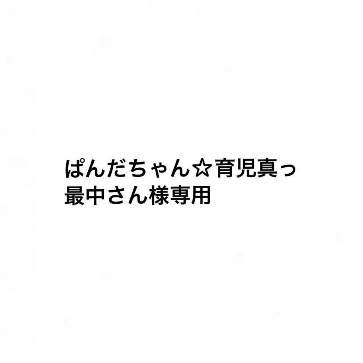 ぱんだちゃん☆育児真っ最中さん様専用