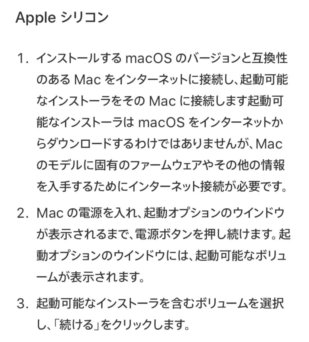 mac OS Big Sur 11.7.10 インストールUSBメモリ 起動ディスク インストーラー